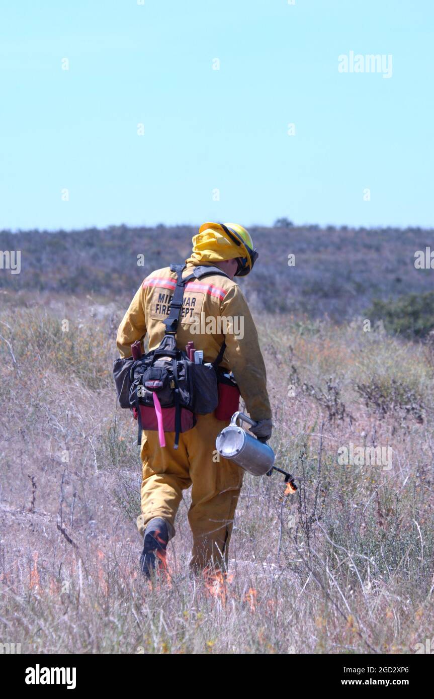Miramar firefighter igniting brush during controlled burn using a drip torch Stock Photo