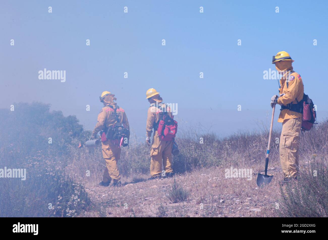 Miramar Firefighters working prescribed burn Stock Photo