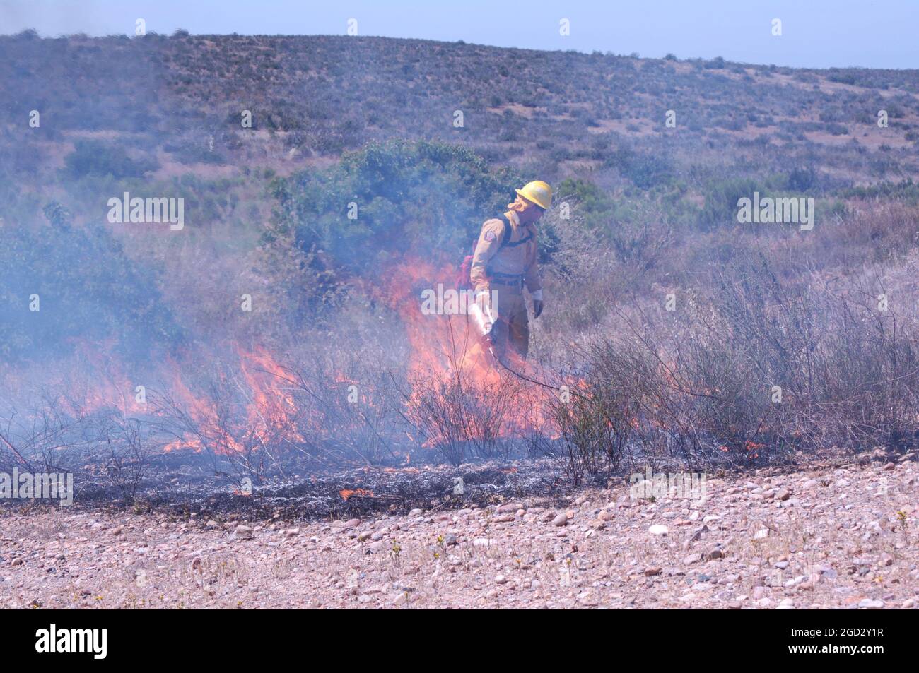 Miramar Firefighter igniting brush during controlled burn Stock Photo