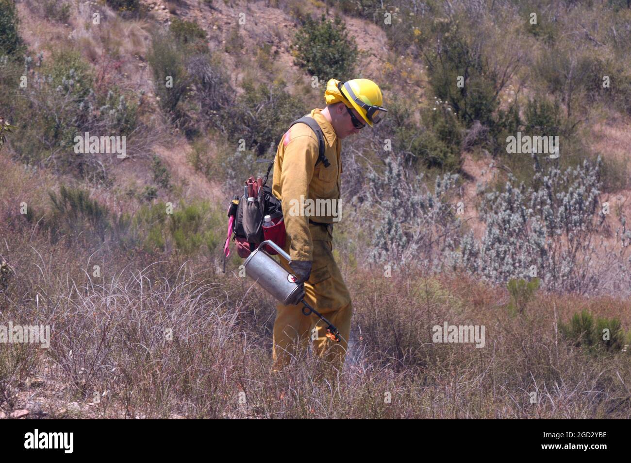 Federal firefighter igniting brush using a drip torch on controlled burn aboard MCAS Miramar Stock Photo