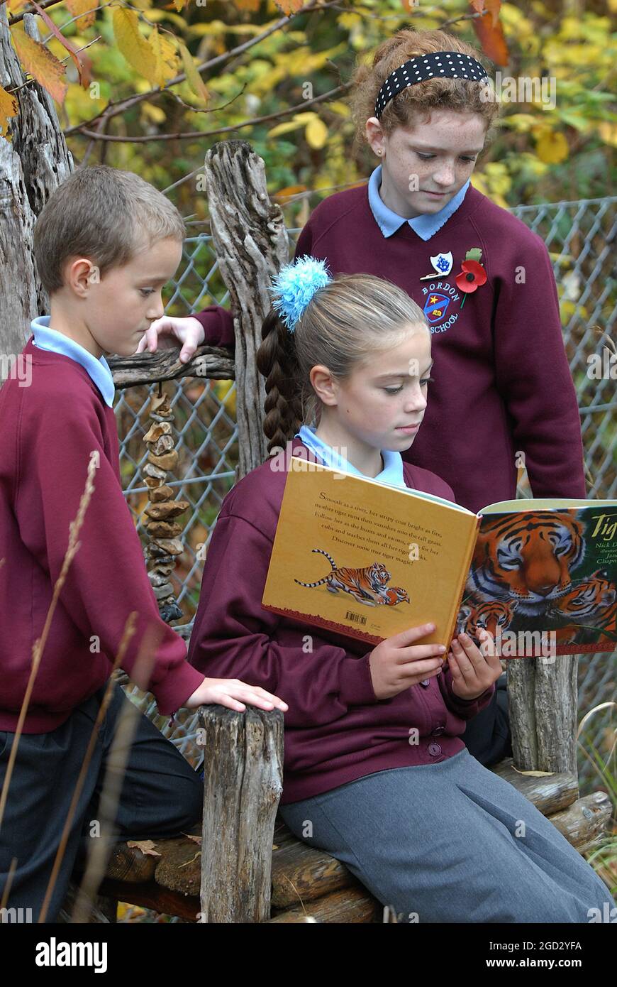 TAMARA LAWRENCE READS TO HER FRIENDS JONATHAN KIRCHER AND LAUREN WRIGHT AT BORDON JUNIOR SCHOOL IN THE READING GARDEN. PIC MIKE WALKER 2008 Stock Photo