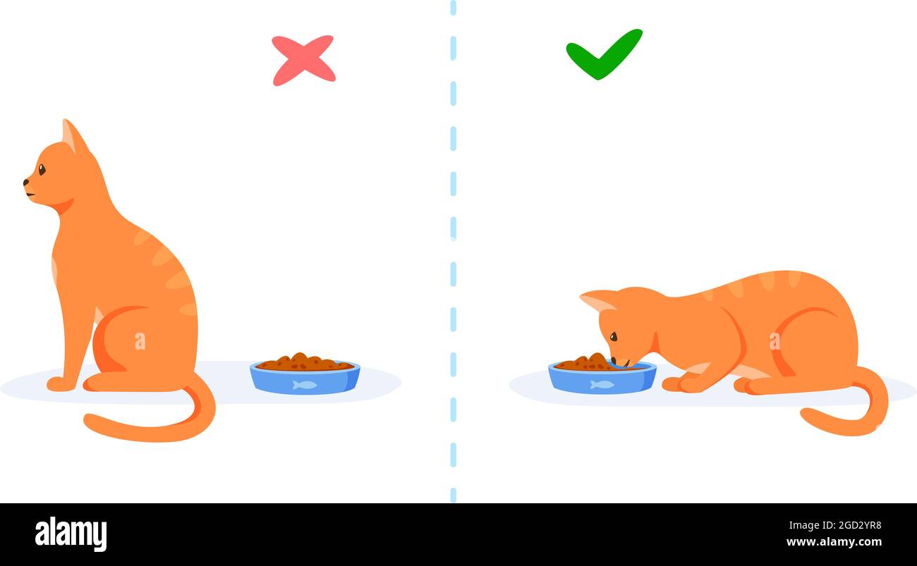 Picky eating Stock Vector Images Alamy