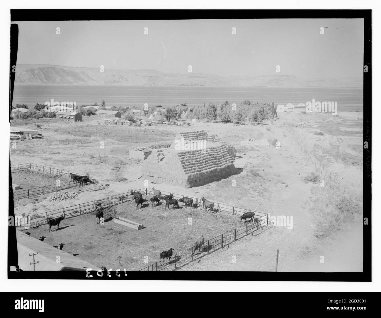 Ain Geb Israel from the watch tower looking towards Tiberias ca. 1945 Stock Photo