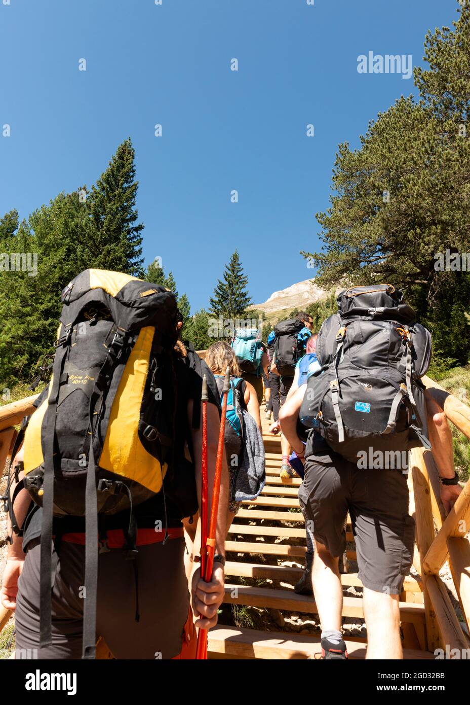 Hikers climbing on newly built designated steep stairs of wooden boardwalk in Pirin National Park and Reserve, Pirin Mountain, Bulgaria, Balkans Stock Photo