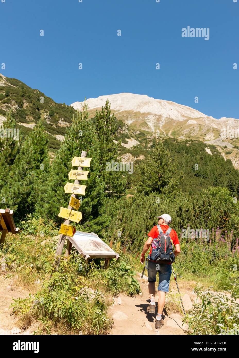 Hiker exploring the hiking routes map in the foot of Vihren Peak in Pirin National Park and Reserve, Pirin Mountain, Bulgaria, Balkans, Europe Stock Photo