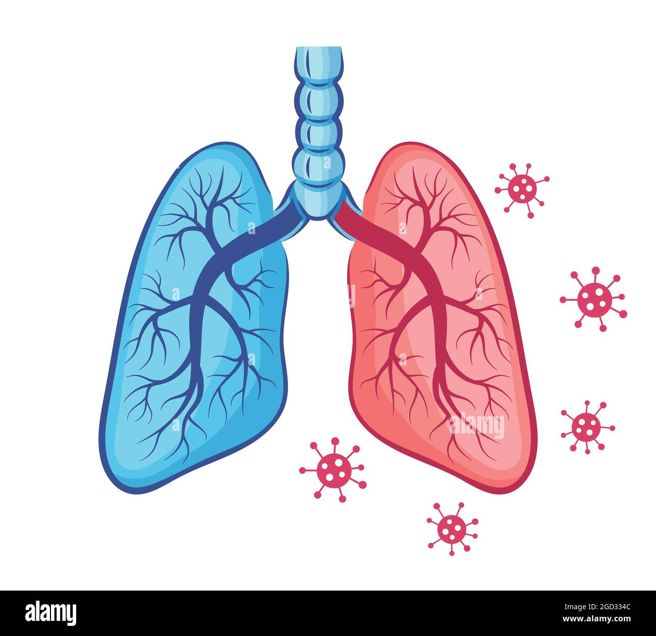 Human lungs anatomy icon. Breath organ. Coronavirus infection, pneumonia disease of respiratory system. Mutation Covid-19 virus. Treatment. Vector Stock Vector