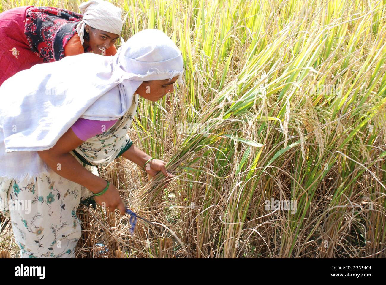 Tamilnadu Farmers High Resolution Stock Photography and Images - Alamy