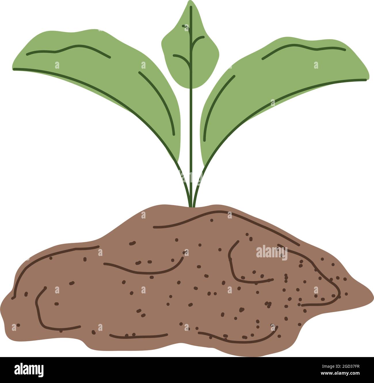 growth plant in soil Stock Vector Image & Art - Alamy
