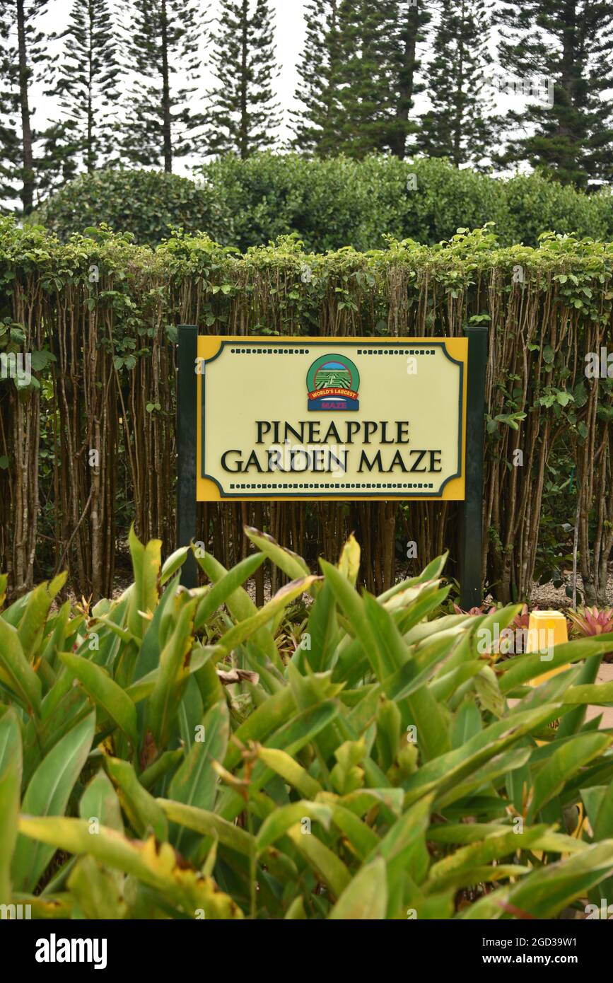Oahu HI U.S.A. 6/3&6/2021. Dole Plantation. Gardens. Pineapple Express Train. Maze. Gift shop. Tasty pineapple swirl. ADA friendly Stock Photo