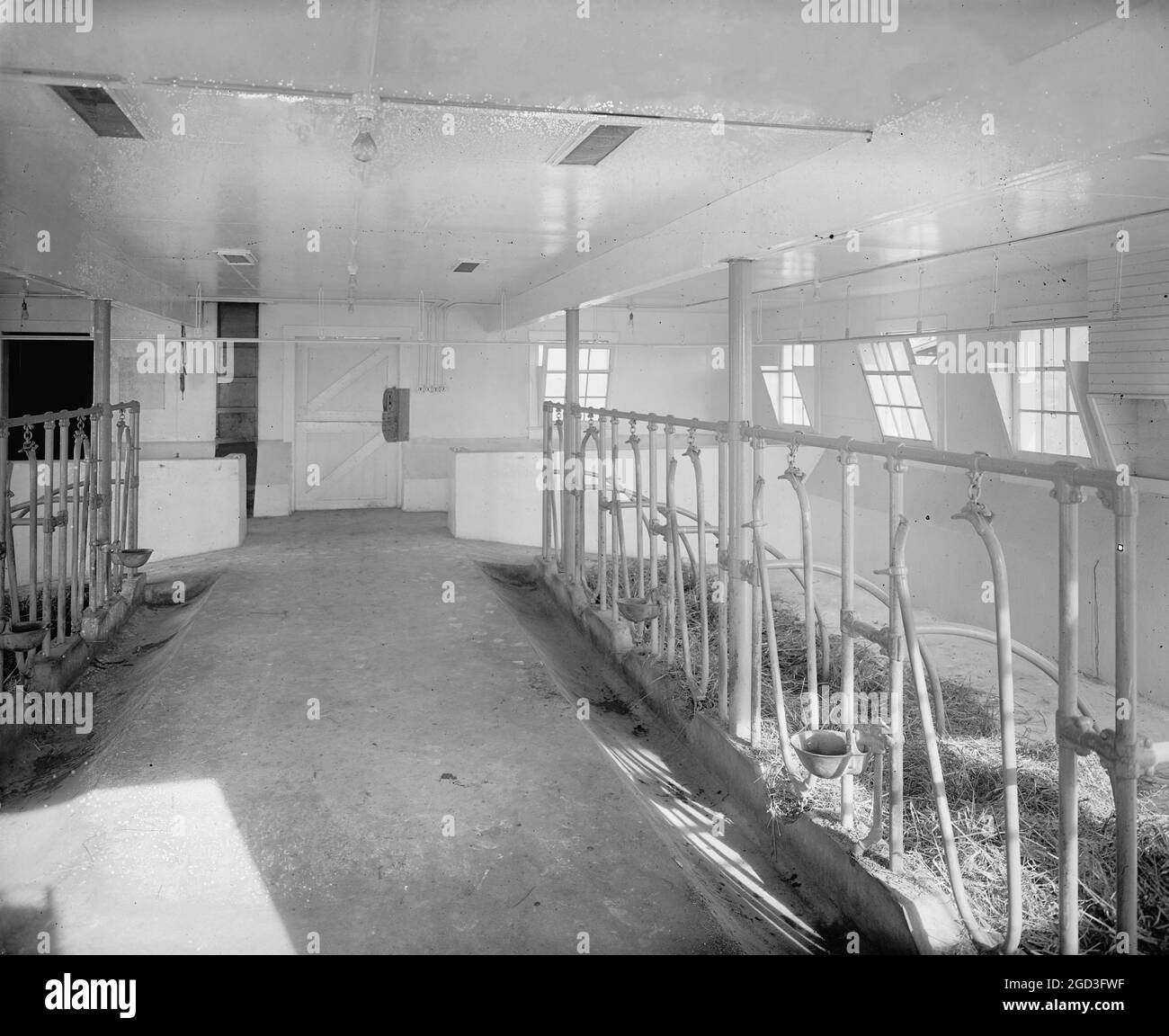 Chestnut Farms Dairy, [Washington, D.C.] ca.  between 1910 and 1926 Stock Photo