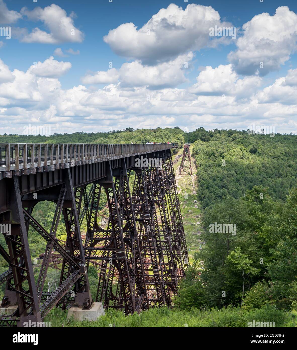 The walking bridge at the Kinzua Bridge State Park in Mt Jewett
