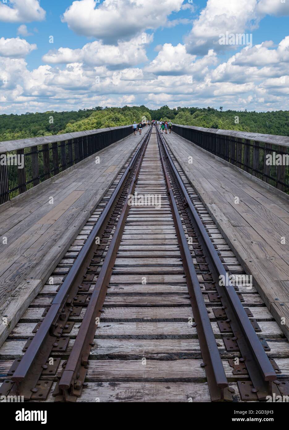 The walking bridge at the Kinzua Bridge State Park in Mt Jewett