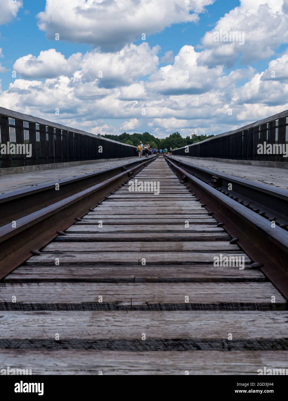 The walking bridge at the Kinzua Bridge State Park in Mt Jewett