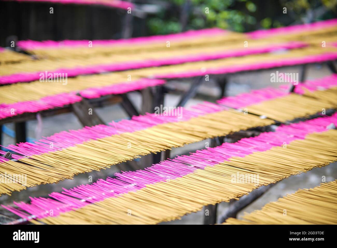 Drying incense in Long An province southern Vietnam Stock Photo Alamy