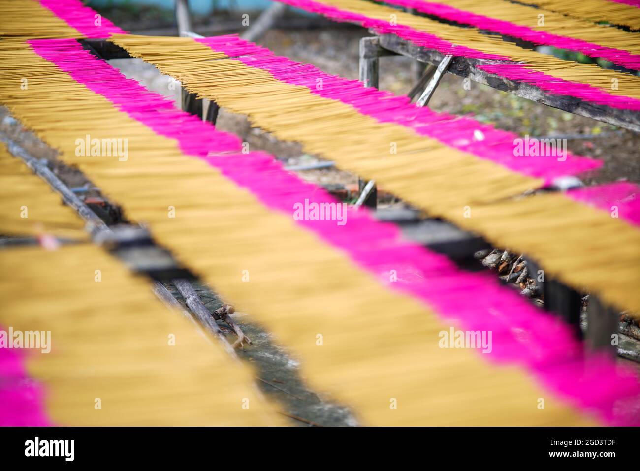 Drying incense in Long An province southern Vietnam Stock Photo Alamy