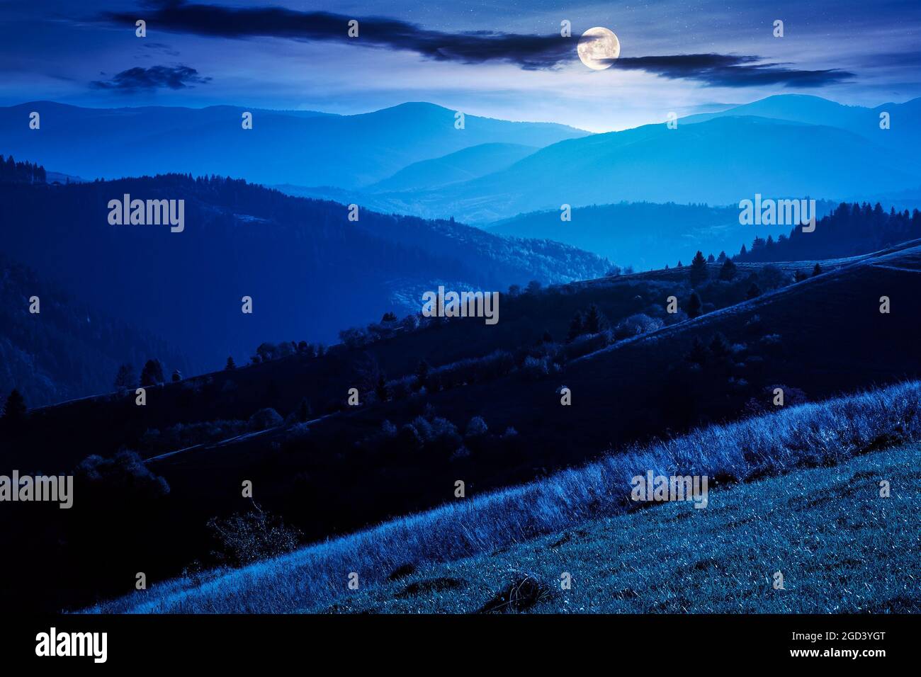 mountainous countryside landscape at night. grassy meadows and trees on hills rolling in to the distant ridge in full moon light Stock Photo