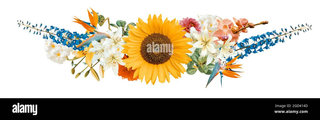 Wide panoramic design of flowers arrangement isolated on white background Stock Photo