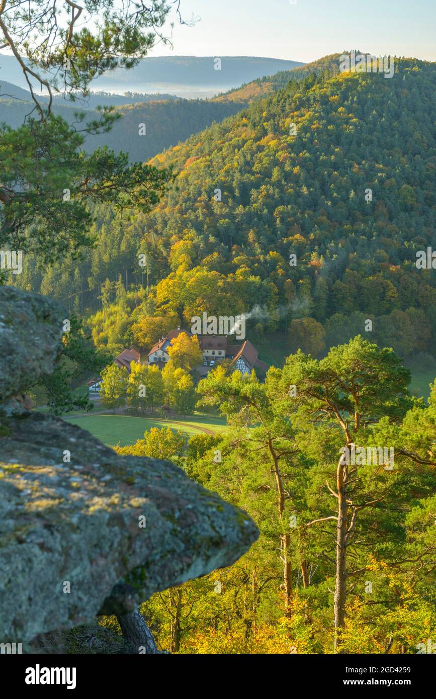 FRANCE, BAS-RHIN (67), NORTHERN VOSGES REGIONAL NATURE PARK, WINGEN