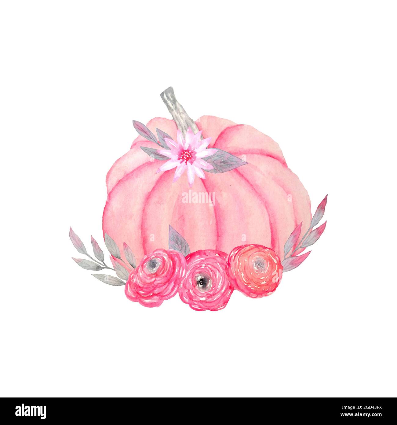 Hand drawn watercolor illsutration of fall autumn pastel soft pink ...