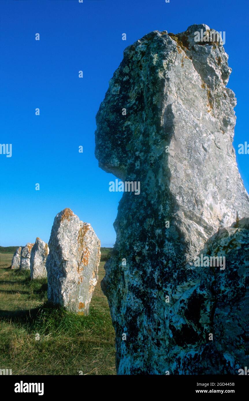 FINISTERE (29) BRITTANY, CAMARET SUR ??MER, MEGALITHIC ALIGNMENTS OF