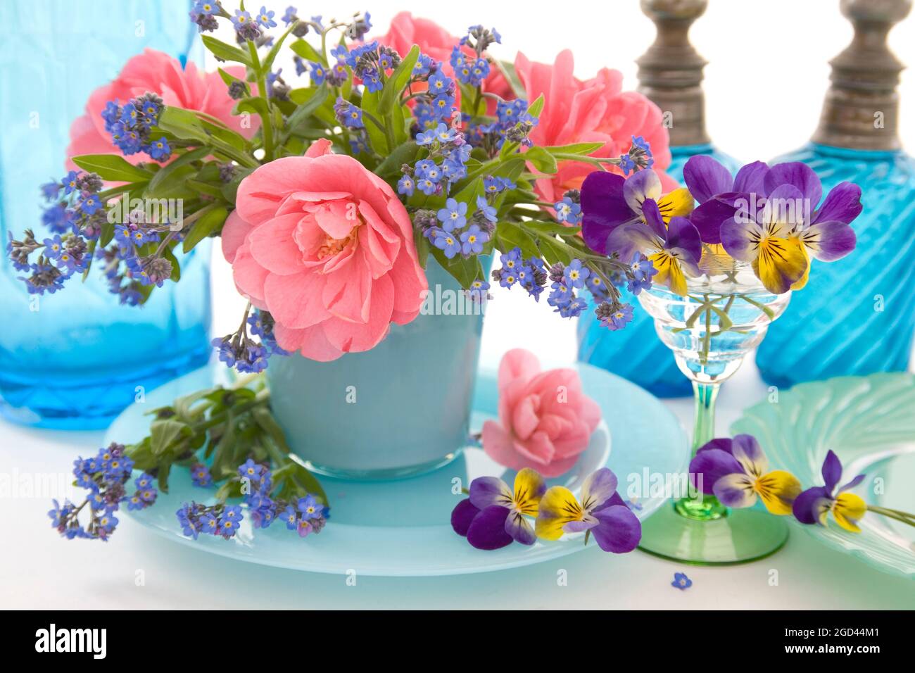 botany, myosotis, camellia and pansy, ADDITIONAL-RIGHTS-CLEARANCE-INFO-NOT-AVAILABLE Stock Photo
