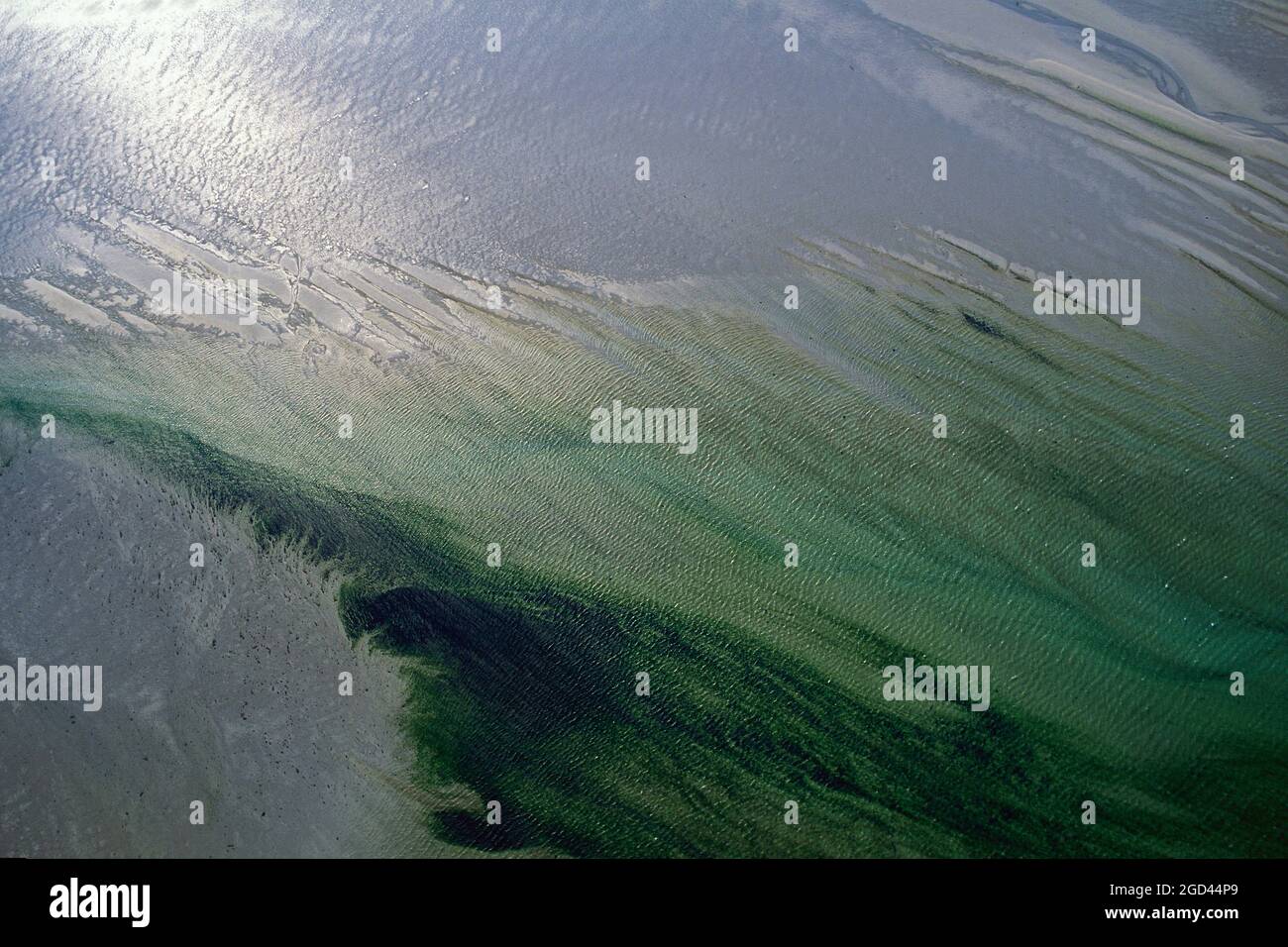 FRANCE, FINISTERE(29), AERIAL VIEW OF THE COVE OF GOULVEN AND ITS GREEN ...