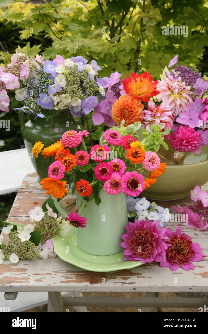 Dahlias Vase High Resolution Stock Photography and Images - Alamy