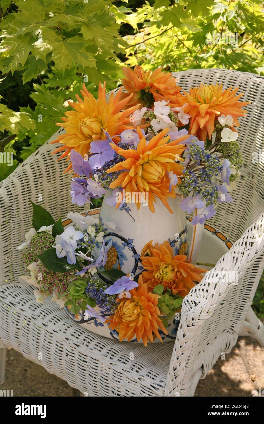 Dahlias hi-res stock photography and images - Alamy