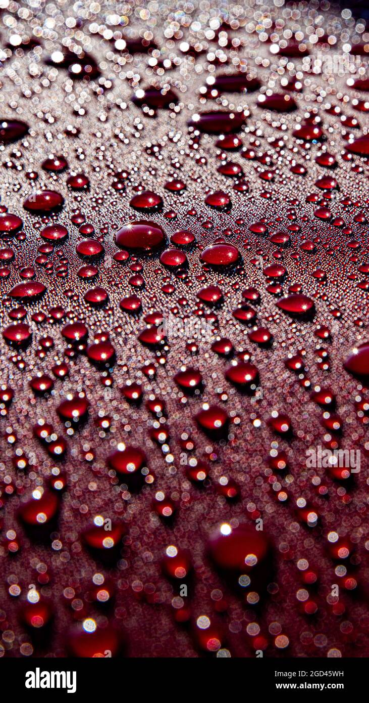 Hydrophobic water effect on red car paint after rain Stock Photo Alamy