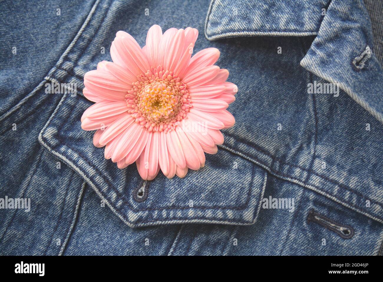 jean jacket clearance