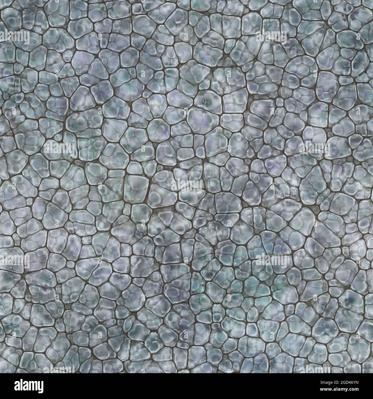 Cartoon seamless texture of color fantasy cobble stone ground pavement. Soft shaped rocks as background - illustrated seamless texture Stock Photo - Alamy Cartoon seamless texture of color fantasy cobble stone ground pavement. Soft shaped rocks as background - illustrated seamless texture Stock Photo - Alamy