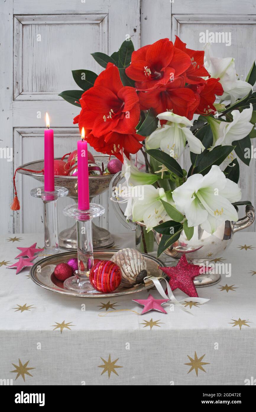 botany, Christmas still life with white and red amaryllis, candles, baubles  and stars., ADDITIONAL-RIGHTS-CLEARANCE-INFO-NOT-AVAILABLE Stock Photo -  Alamy