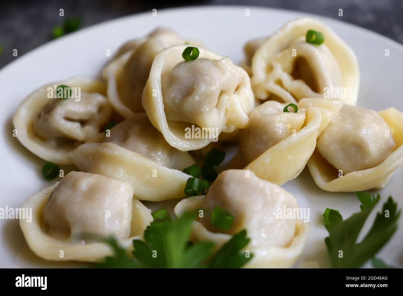 Boiled meat dumplings in a white plate. The concept of a delicious lunch or dinner. Dumplings with green onions. Closeup. Stock Photo