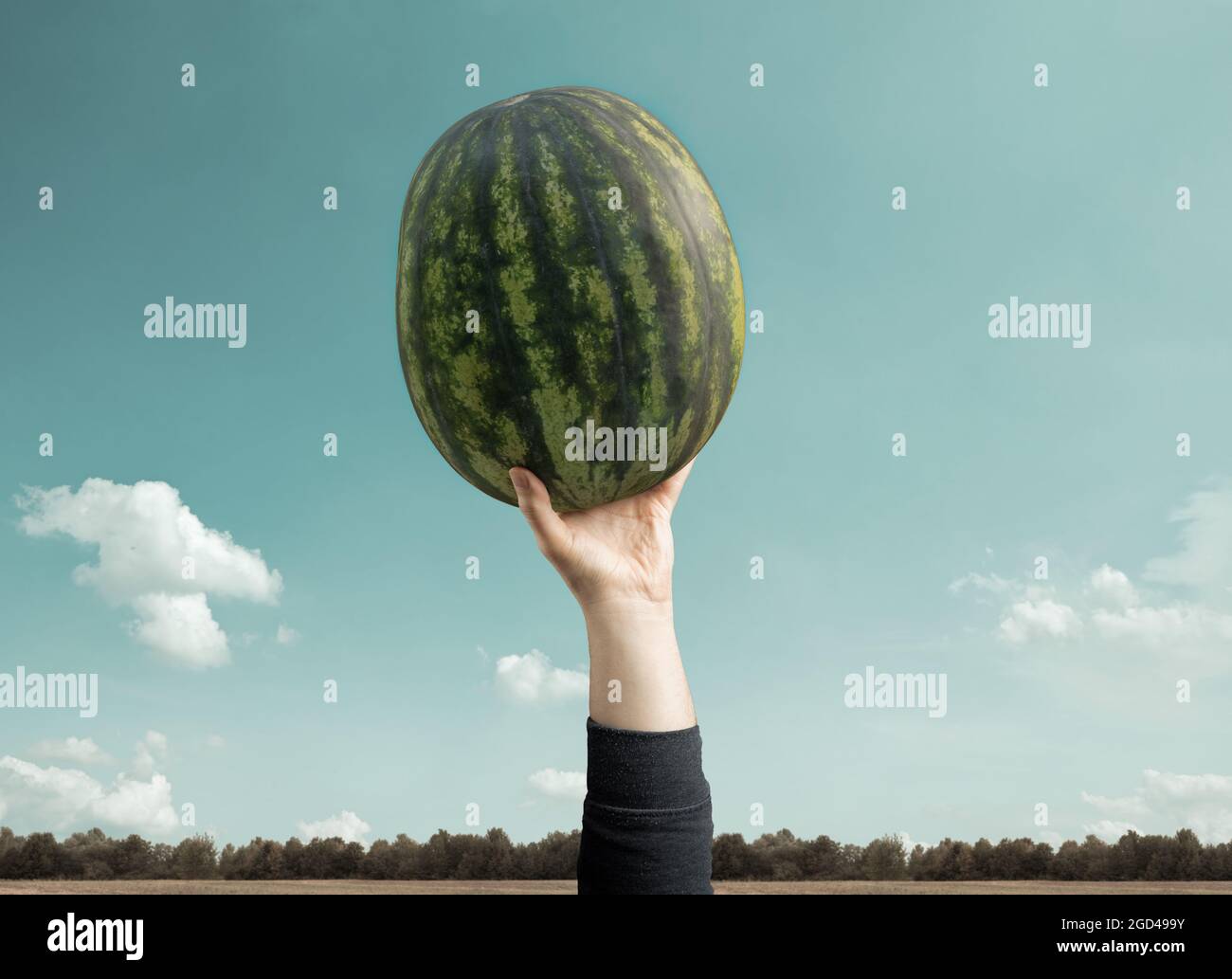 hand rise up with big watermelon in front of blue sky Stock Photo