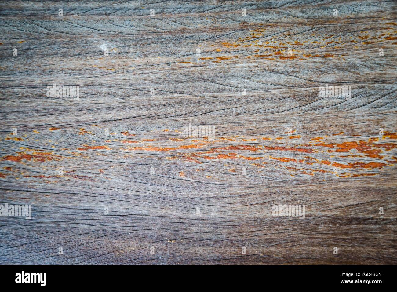texture of brown bark wood use as natural background Stock Photo - Alamy