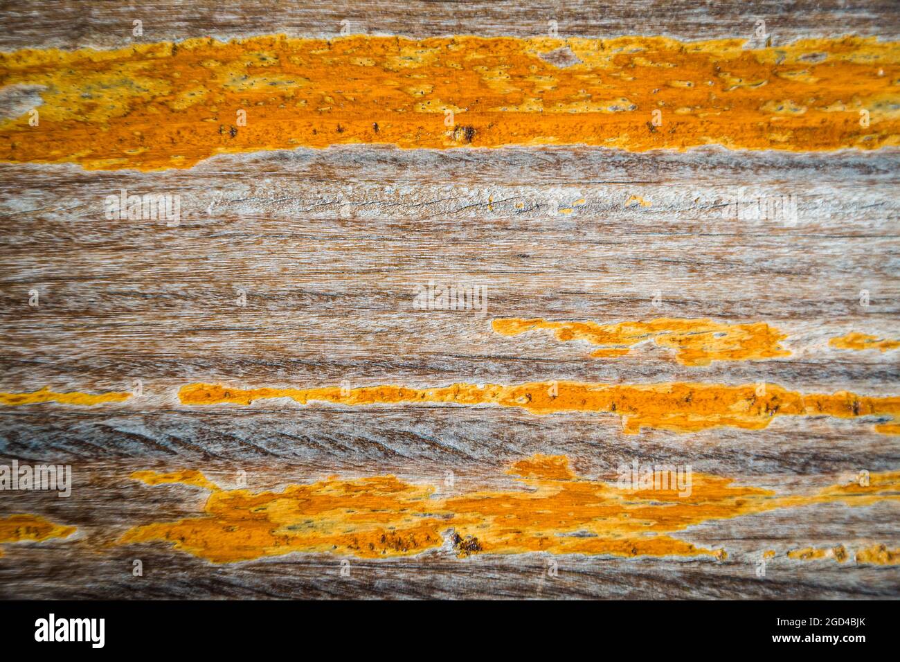 texture of brown bark wood use as natural background Stock Photo - Alamy