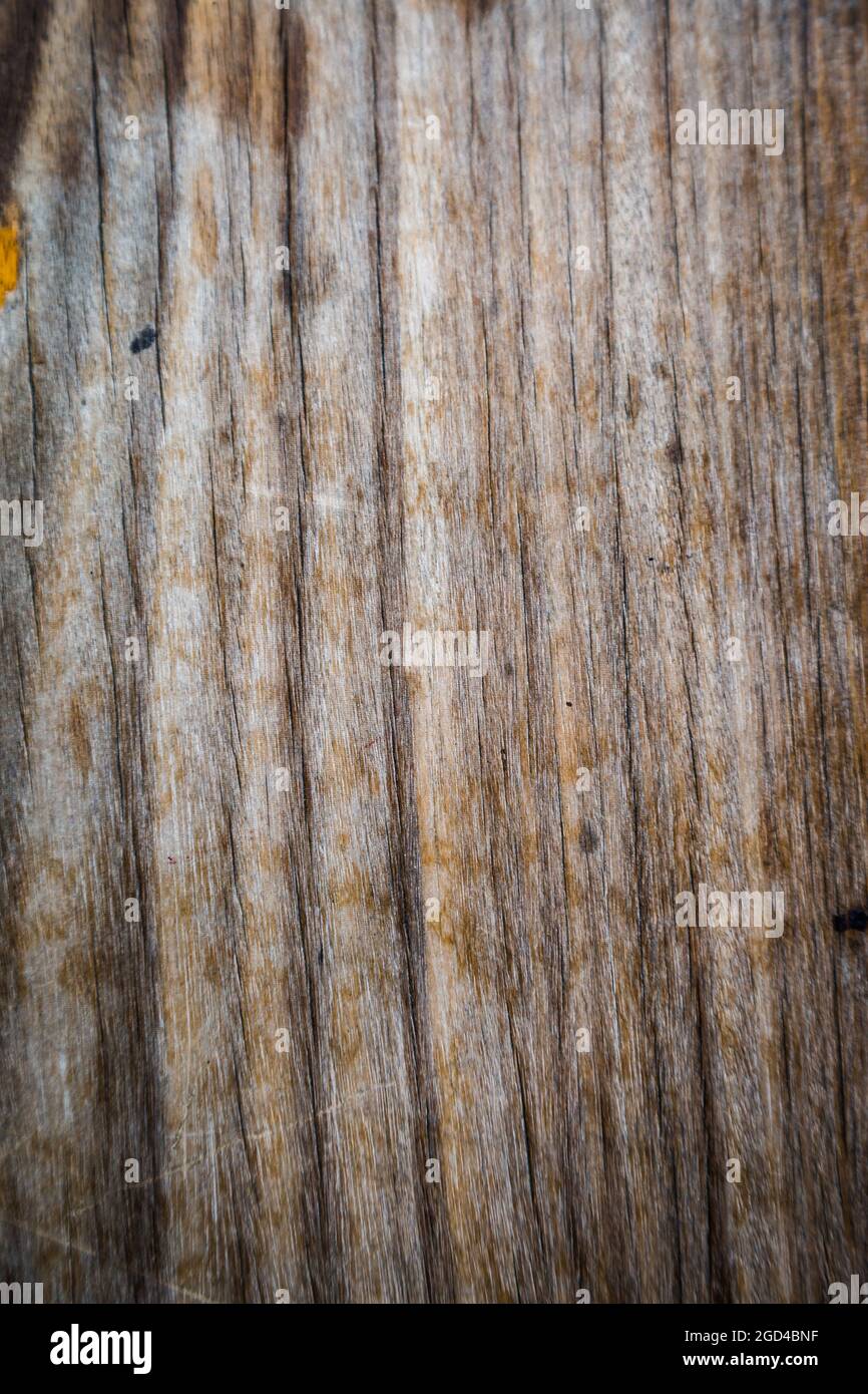 texture of brown bark wood use as natural background Stock Photo - Alamy