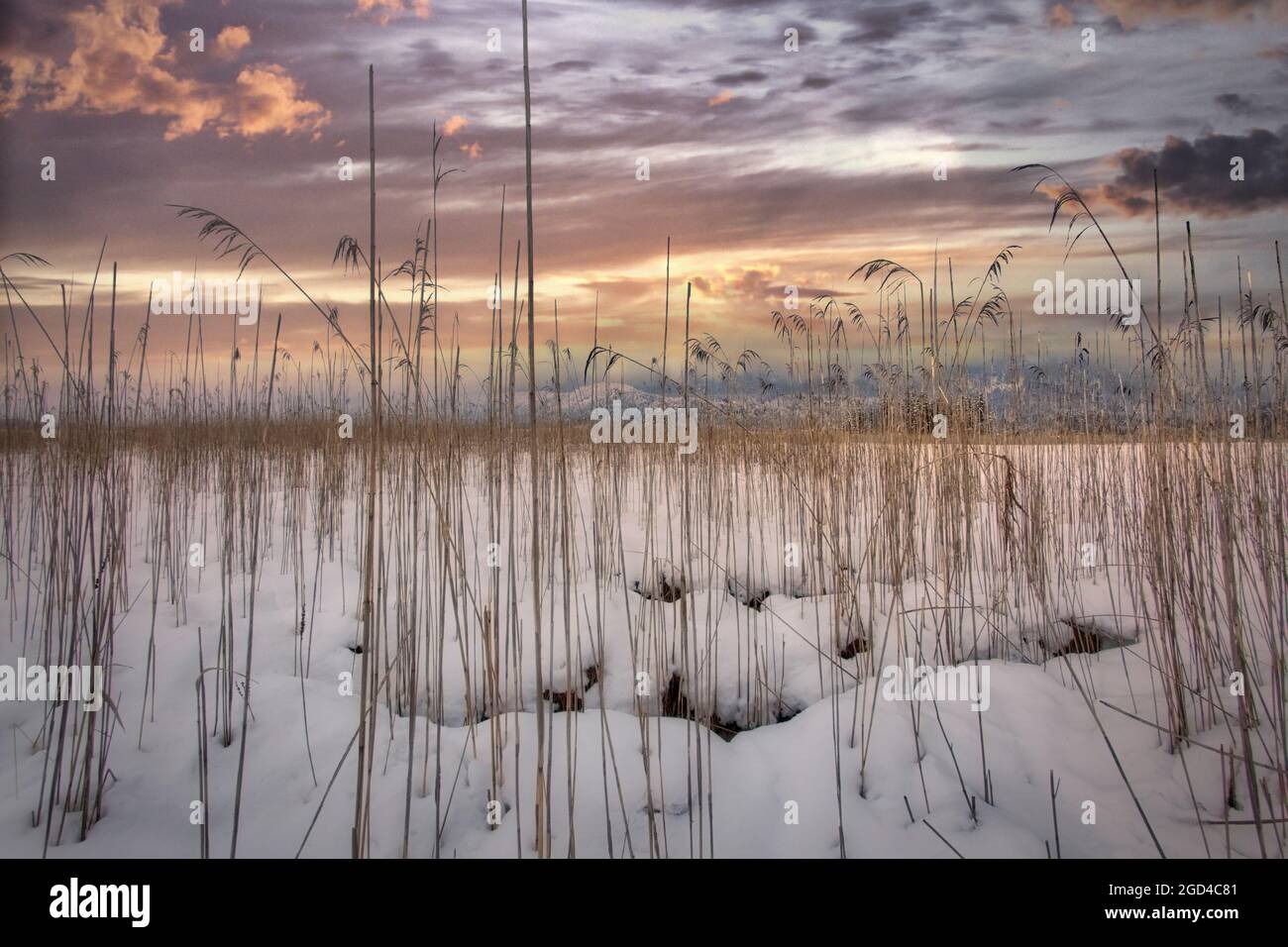 LANDSCAPE PHOTOGRAPHY: Loisach Moorlands at Kochel, Upper Bavaria, Germany Stock Photo