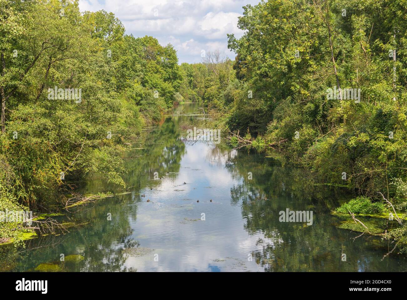 geography / travel, Germany, Bavaria, Isar, plant canal near Moosburg, ADDITIONAL-RIGHTS-CLEARANCE-INFO-NOT-AVAILABLE Stock Photo