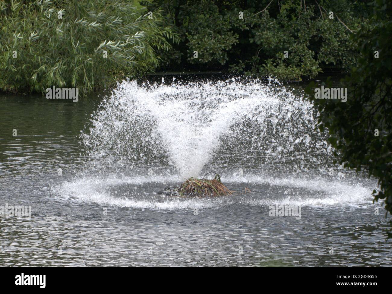 Abandoned Coots Nest Under a lake water aerator In Cheshire Stock Photo