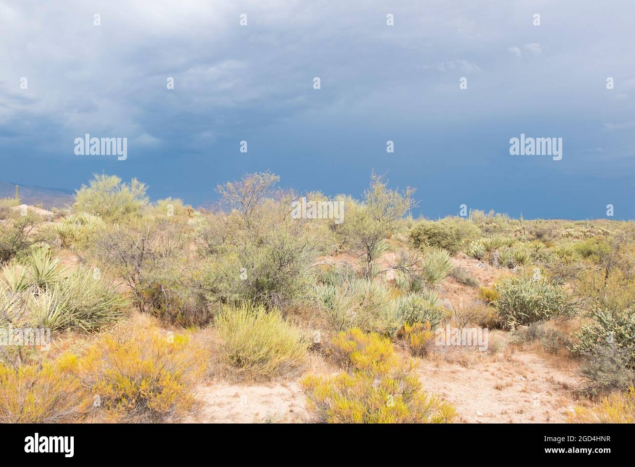 A moody, stormy weather pattern settles over Tonto National Forest park