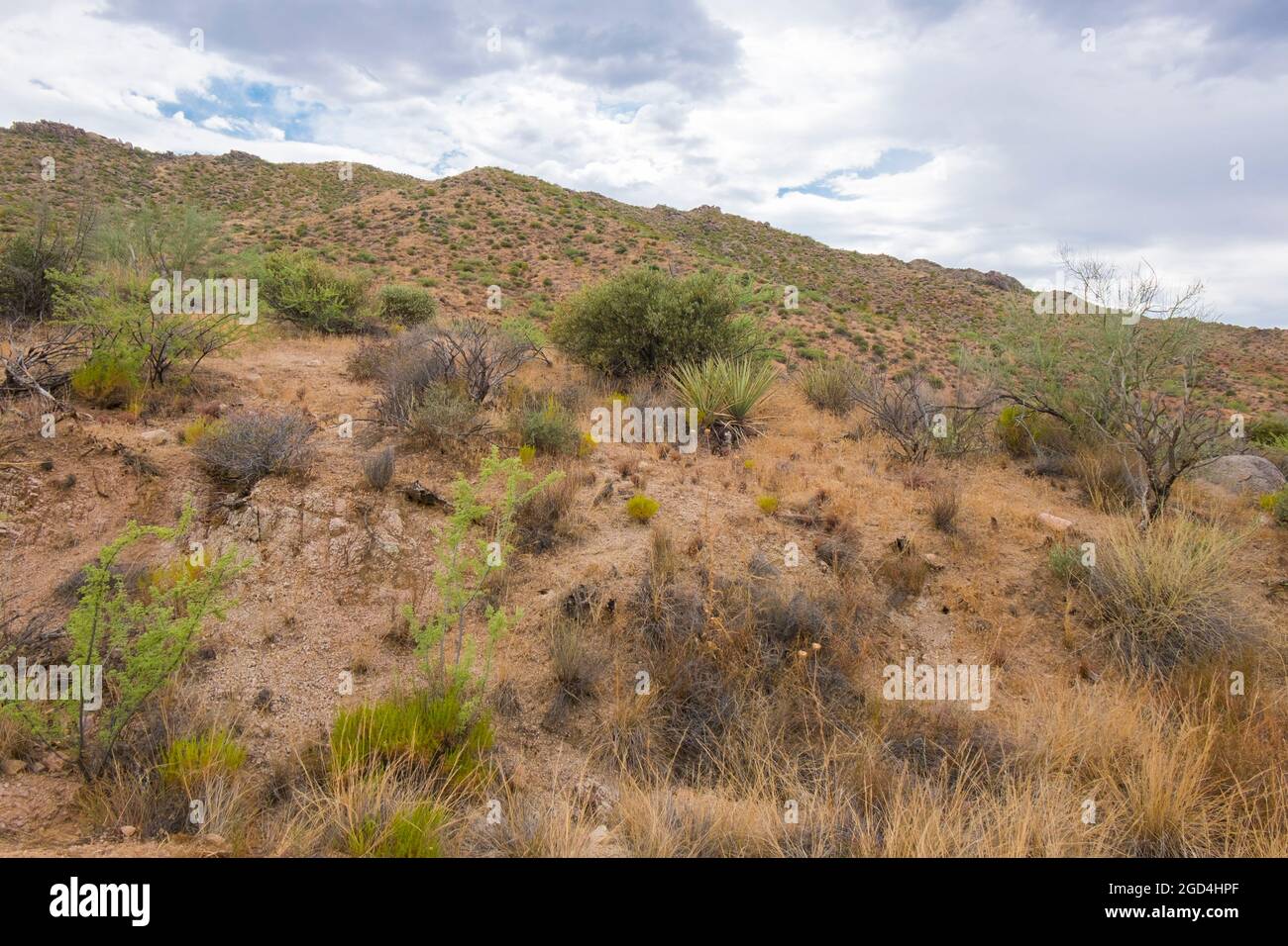 A moody, stormy weather pattern settles over Tonto National Forest park