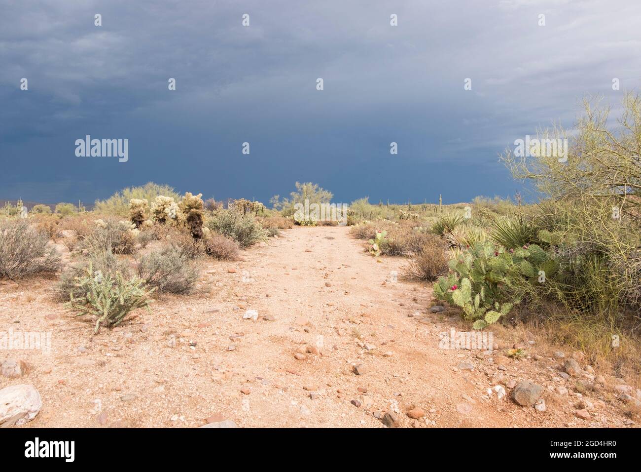 A moody, stormy weather pattern settles over Tonto National Forest park