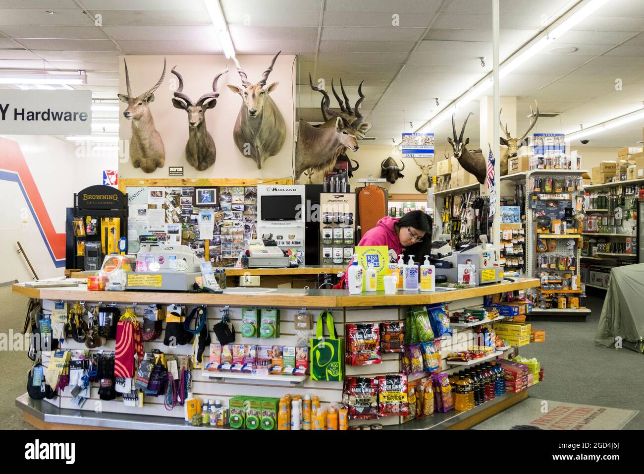 Local sporting cheap goods stores