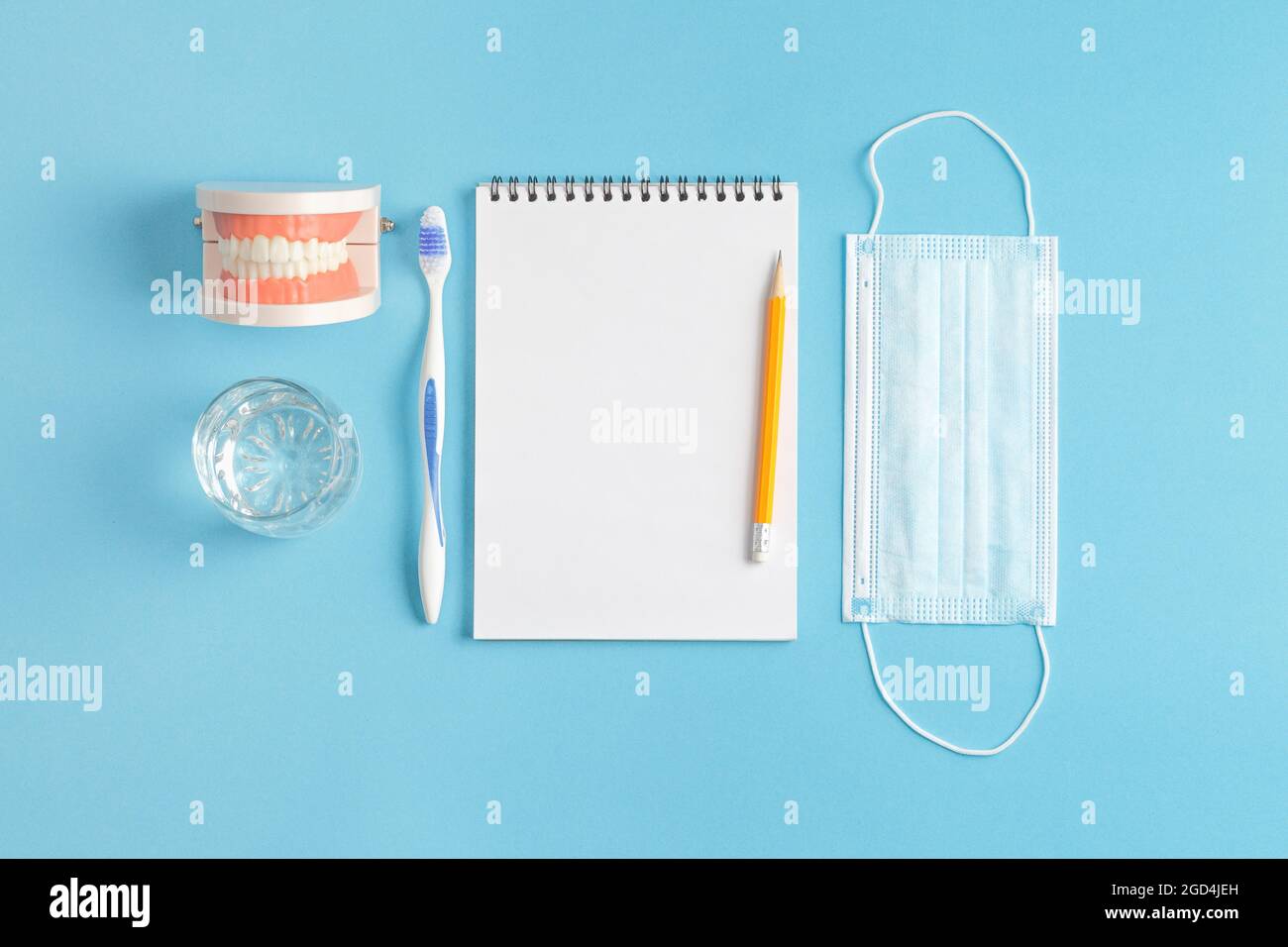Jaw model with toothbrus and notepad. Dentist desk Stock Photo - Alamy