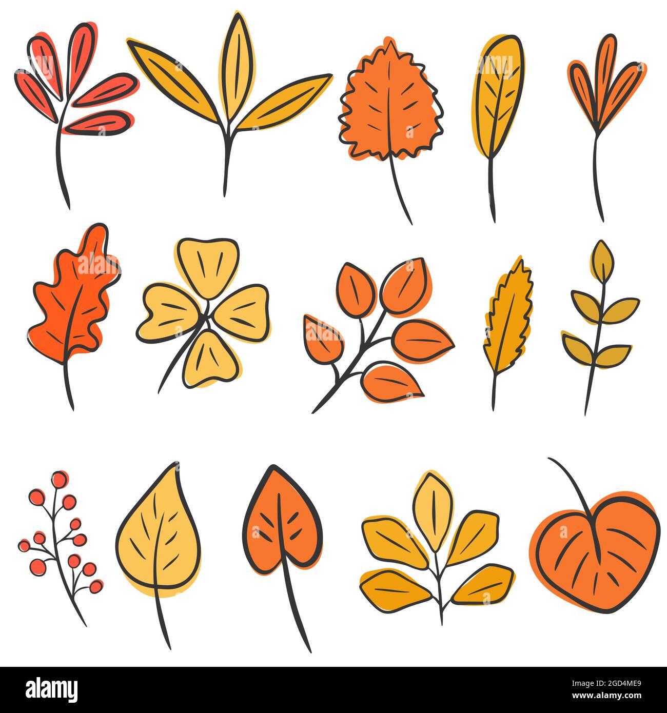 Set of autumn leaves hand drawing. Vector isolated leaves of maple, birch,  oak and plants. Illustration of fall botanical elements. Collection of bed  Stock Vector Image & Art - Alamy