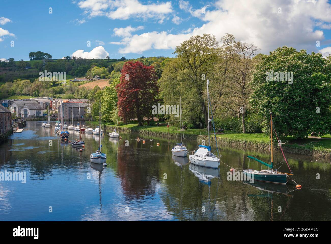 UK river, view in summer of leisure boats moored in the River Dart at Totnes, Devon, South Hams, England, UK Stock Photo
