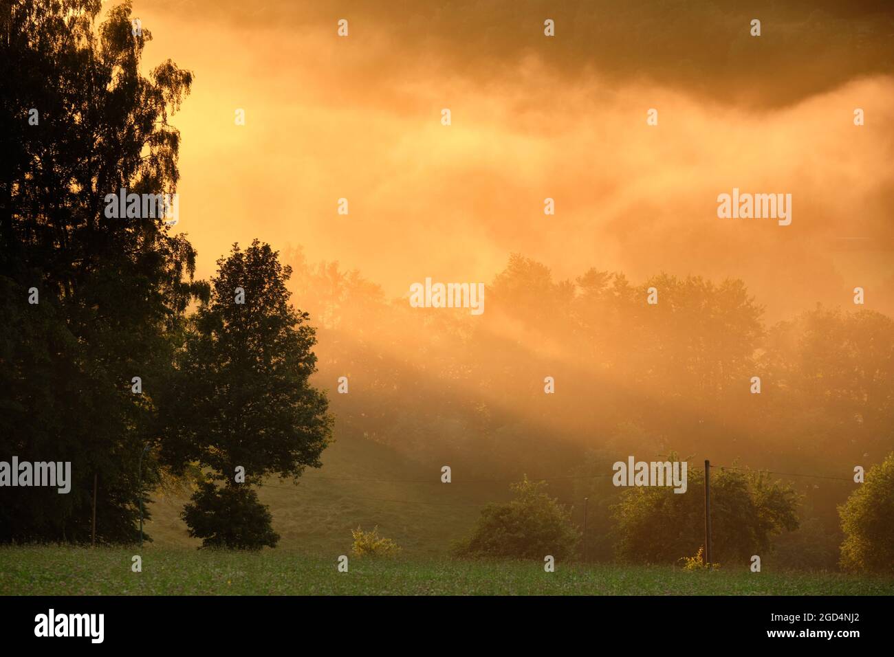 Beautiful misty summer landscape in the countryside during sunset. Seen in Germany in the Rhön Mountains in summer Stock Photo