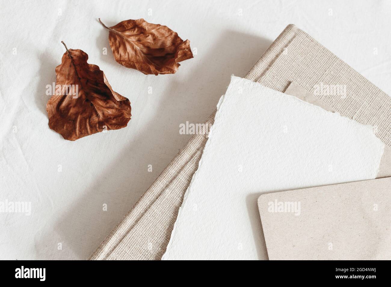 Autumn composition. Blank greeting card mockup, craft envelope and dry beech leaves on white linen table cloth background. Old book. Fall and Stock Photo