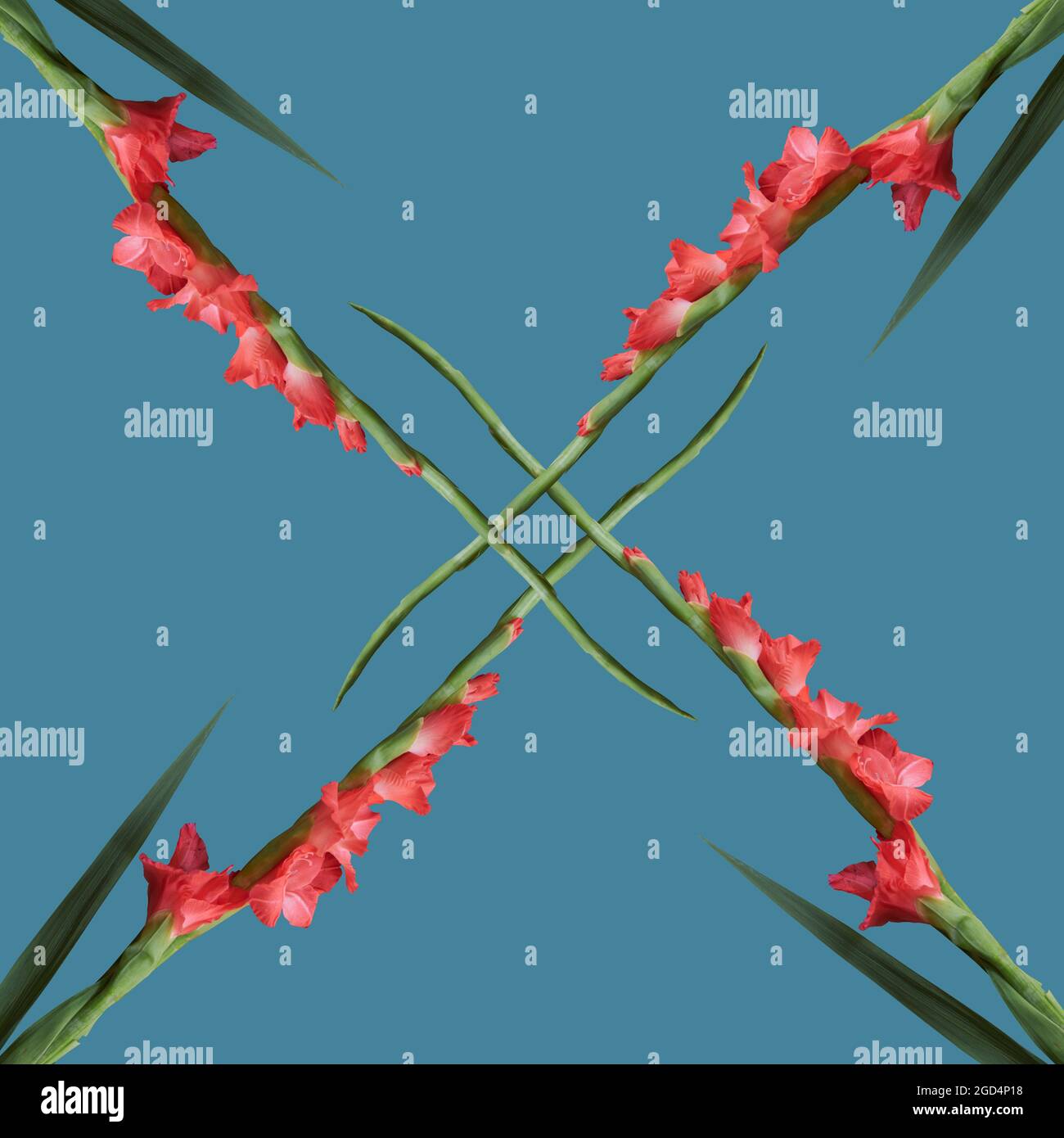 Pink flower on a pastel blue background Stock Photo - Alamy